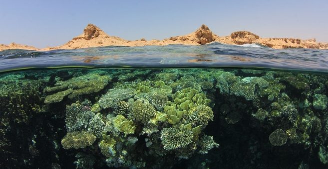 Tauchen in Ägypten, Sharm el Sheikh