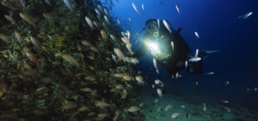 Nachttauchen in Italien