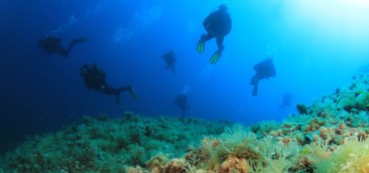 Tauchen in Kroatien