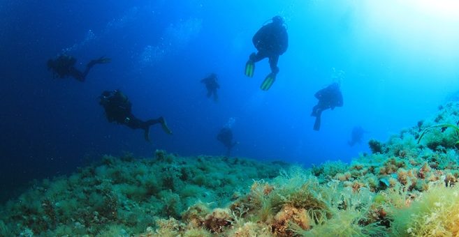 Tauchen in Kroatien
