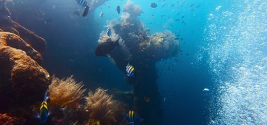 Das Wrack der U.S.A.T. Liberty – DER Tauch-Hotspot auf Bali