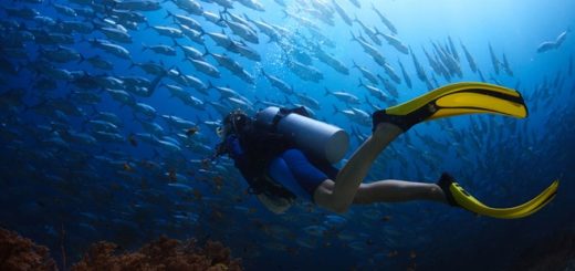 Taucher im Nassanzug