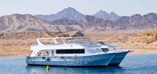 Zwei Safari-Boote verankert In der Bucht in der Nähe einsame Ufer