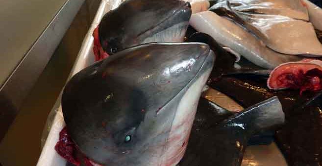 Walfleisch für Touristen aus Grönland.