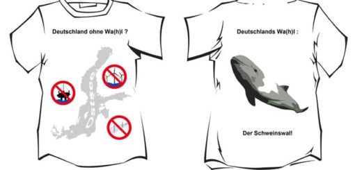 Kreativwettbewerb Schweinswal