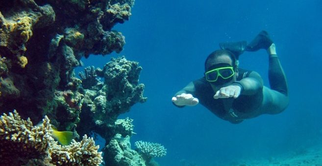 Freitauchen im Roten Meer