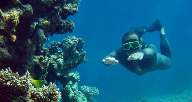 Freitauchen im Roten Meer