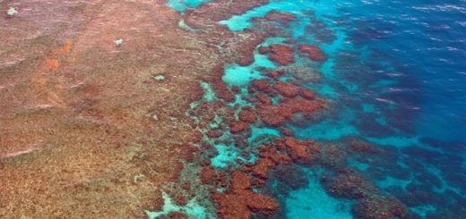 Great Barrier Reef