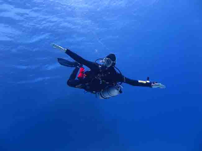 Monkey Diving mit Dennis Roeckrath Monkey Diving mit Dennis Roeckrath