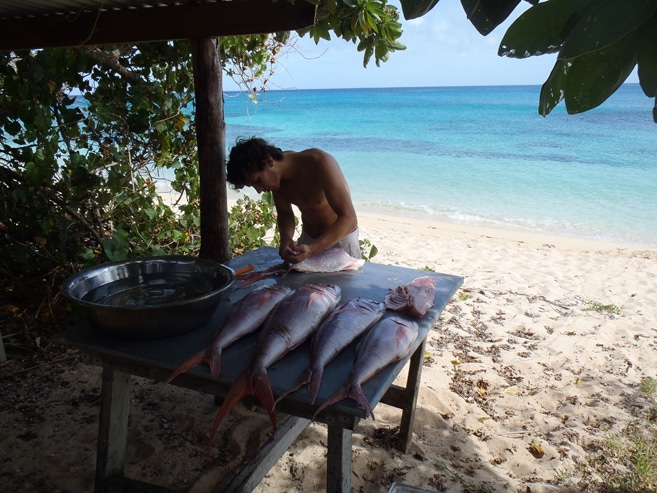 Koch auf Tonga beim Essen zubereiten
