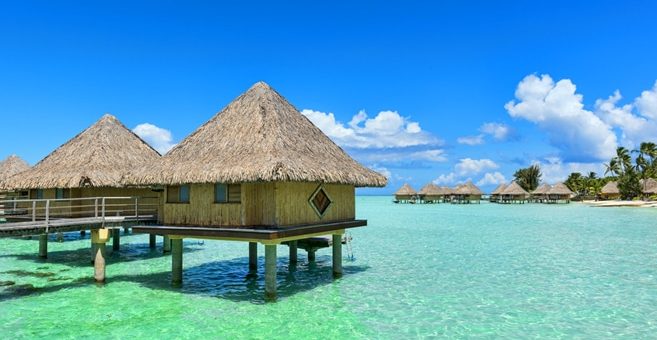 Tauchen in den Französisch-Polynesien Bora Bora