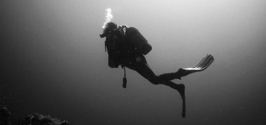 Tauchversicherung Vergleich