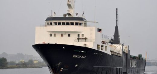 "Winter Bay" Isländische Walfangflotte