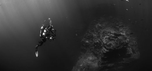 Tauchversicherung - Versicherung für Taucher