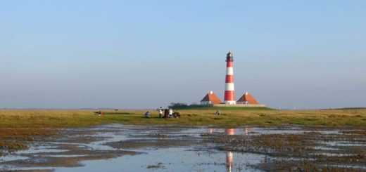 Überflutete Salzwiese am Leuchtturm