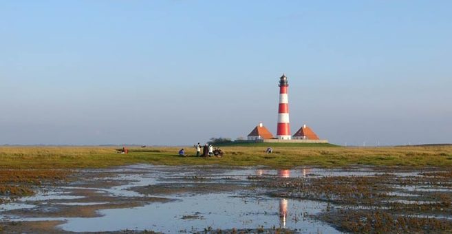 Überflutete Salzwiese am Leuchtturm