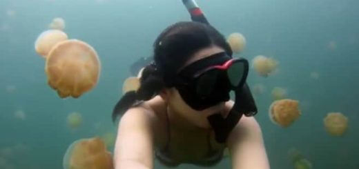 Fotos und Videos mit GoPro