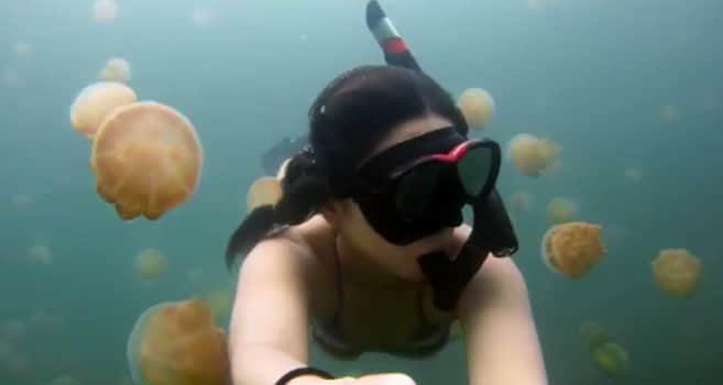 Fotos und Videos mit GoPro