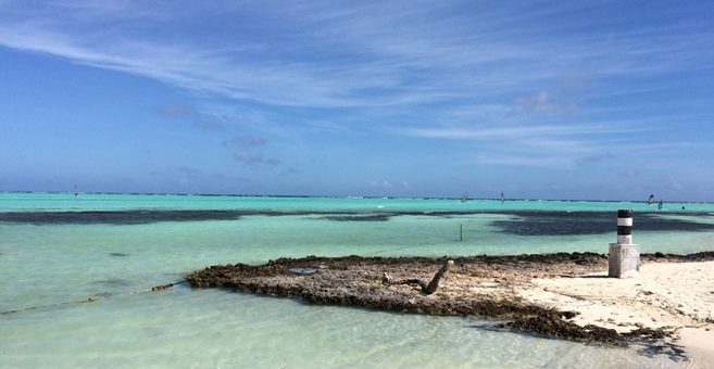 Lagune in Bonaire