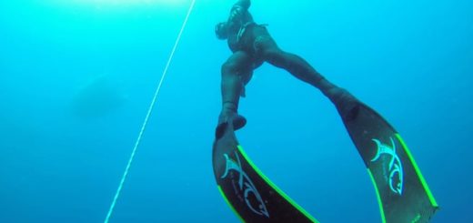 Freediving auf Fuerteventura