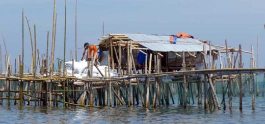 Offenes Aquakultur-Gehege vor Bolinao Philippinen