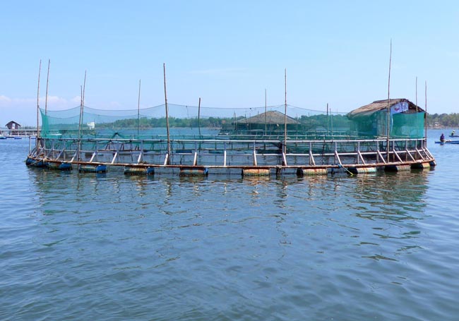 Offenes Aquakultur-Gehege vor Bolinao Philippinen Offenes Aquakultur-Gehege vor Bolinao Philippinen