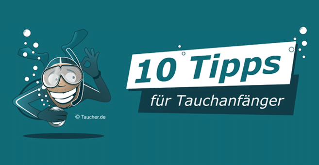 10 Tipps für Tauchanfänger