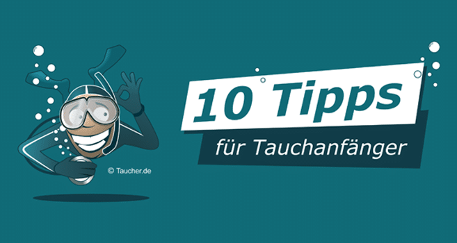 10 Tipps für Tauchanfänger