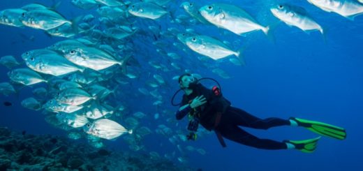 Tauchziele Griechenland