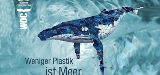 Weniger Plastik ist Meer
