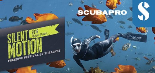 Silent Motion 2016