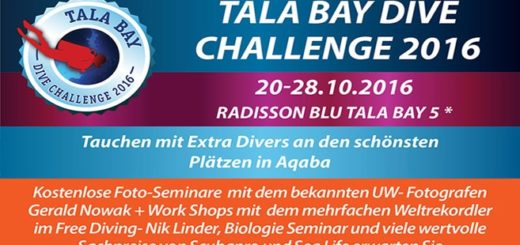 Tala Dive Challenge 2016