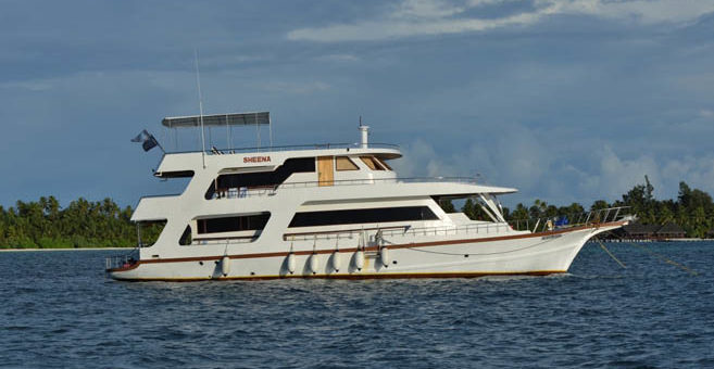 My Sheena - Tauchsafari im nördlichem Atoll