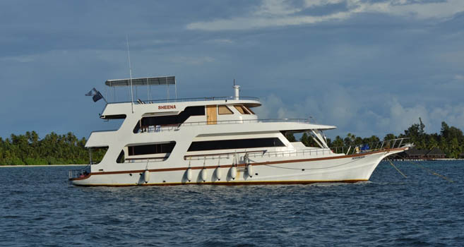 My Sheena - Tauchsafari im nördlichem Atoll