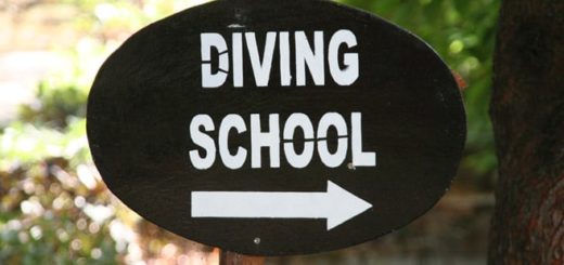 Selbständig mit der eigenen Tauchschule