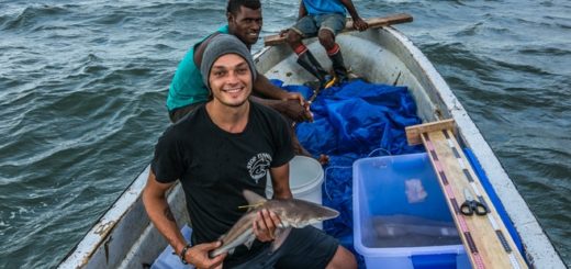 Tom Vierus mit einem Schwarzspitzenhai auf einer Bootsausfahrt in Fidschi