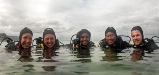 Jungen Helfern aus vielen Ländern der Welt