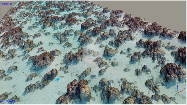 3-D-Rekonstruktion des Korallenriffes
