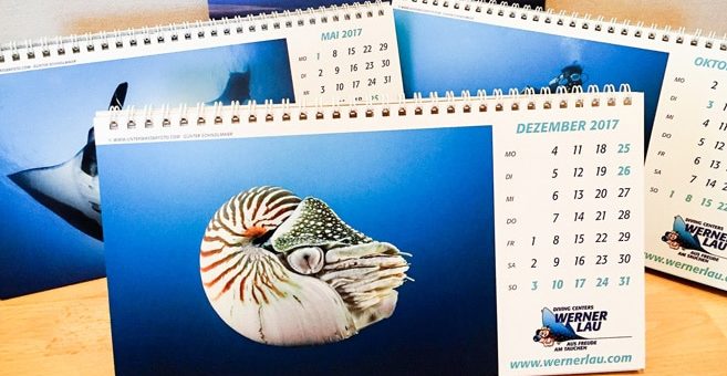 Unterwasserbilder-Tischkalender