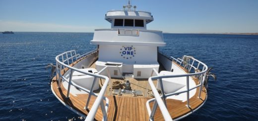 Tauchsafari VIP ONE