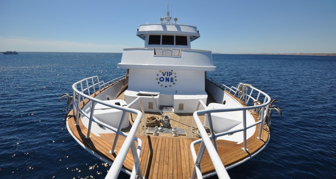Tauchsafari VIP ONE