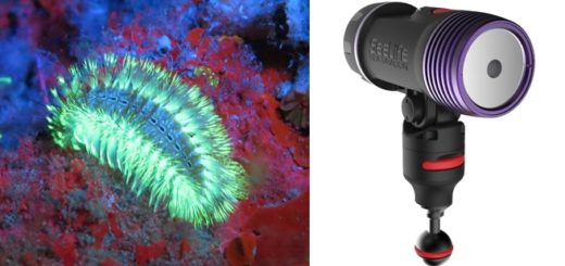 Fluoro-Dual Beam