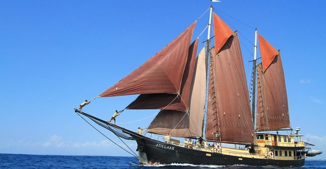 Tauchsafari SY Adelaar