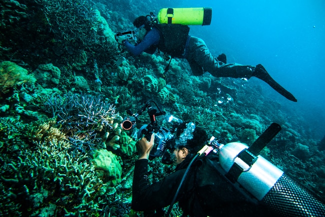 Unterwasserfotografie Anfängertipps