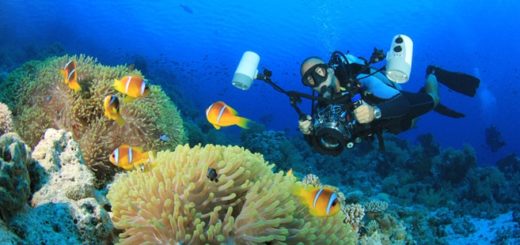 Unterwasserfotografie Tipps