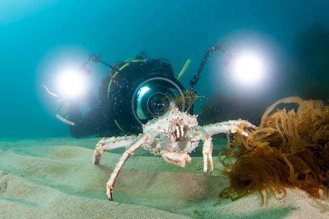 Unterwasserfotografie für Einsteiger