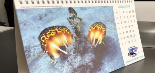 Werner Lau Tischkalender