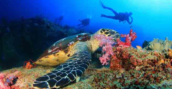 Anantara Island Resorts in Mosambik