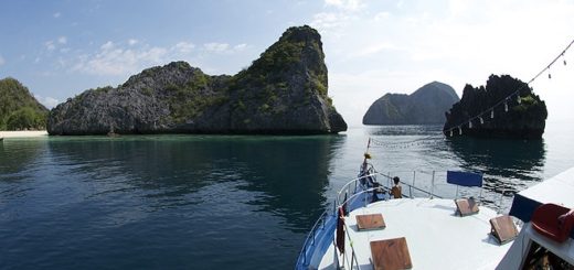 Die Besten Tauchplätze für Tauchsafaris