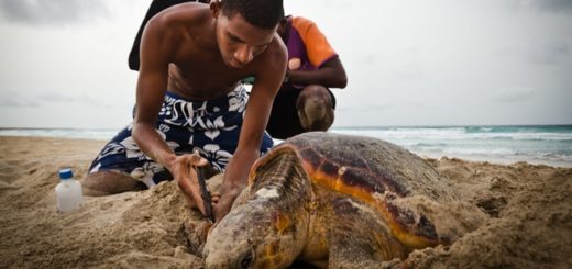 FESPO 2019 Verlosung